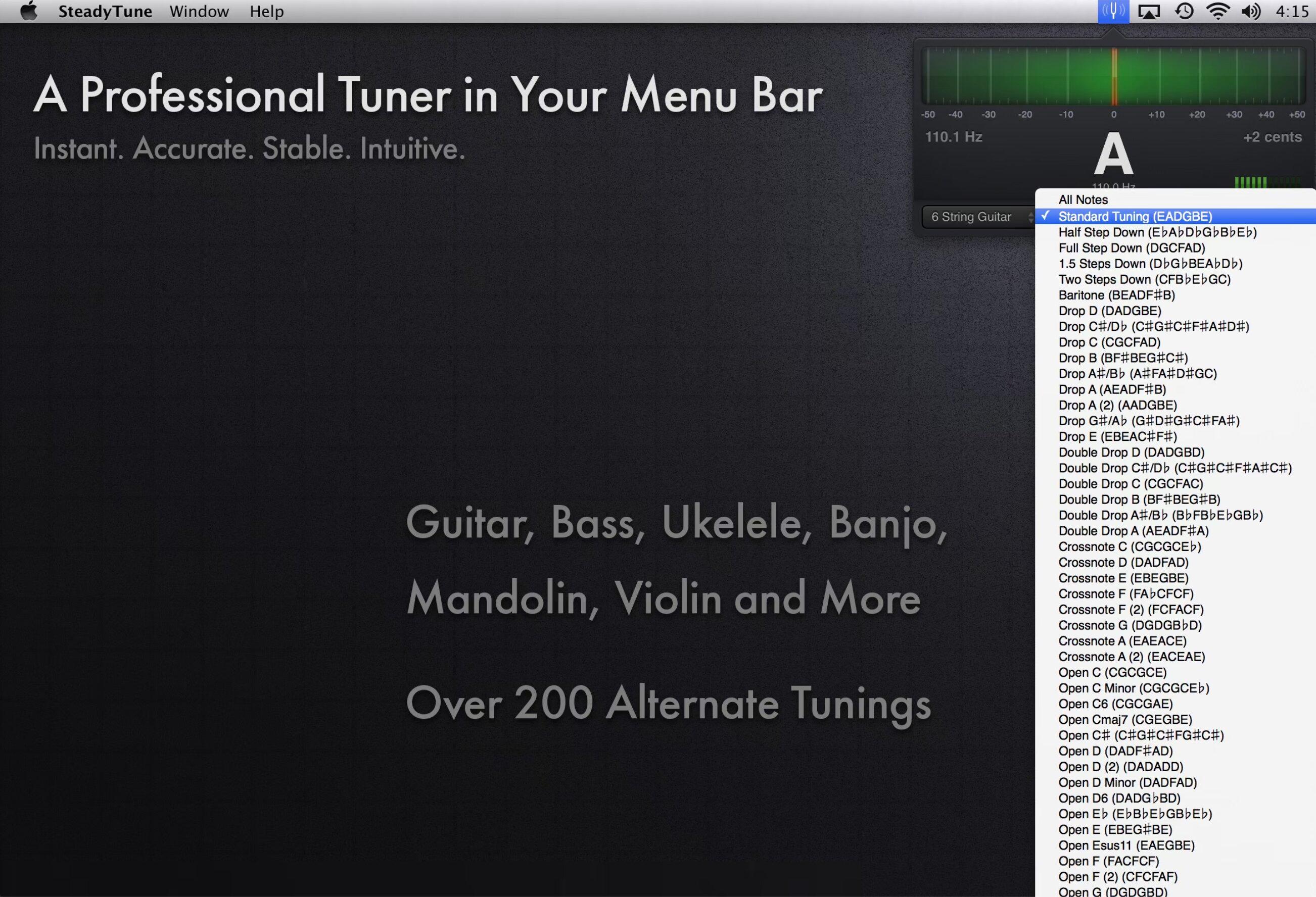 SteadyTune plugin interface